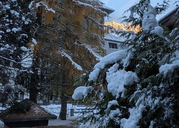 L'alpage Appartement *